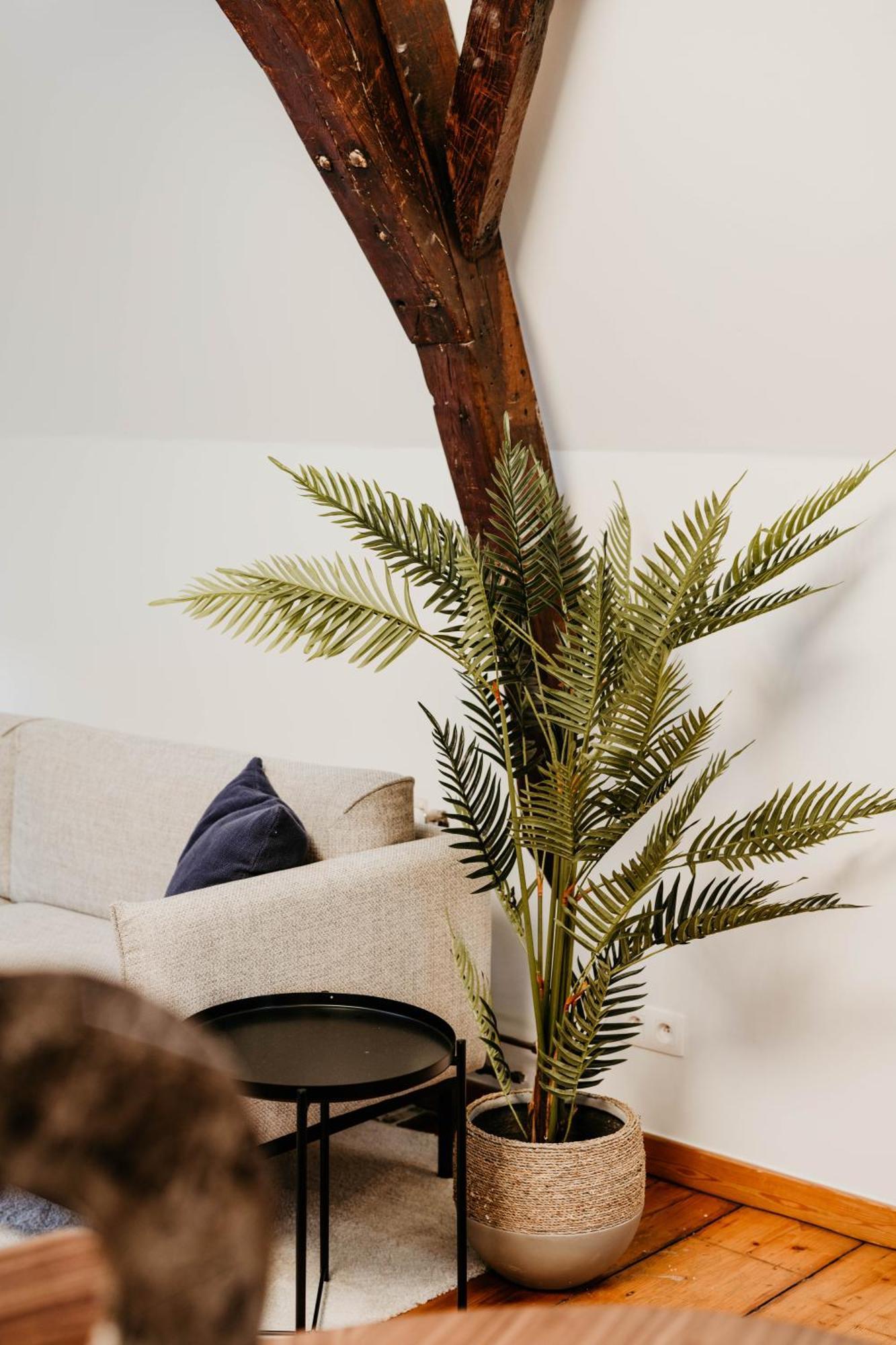 Gorgeous Duplex Apartment In Old City Centre Antwerpia Zewnętrze zdjęcie